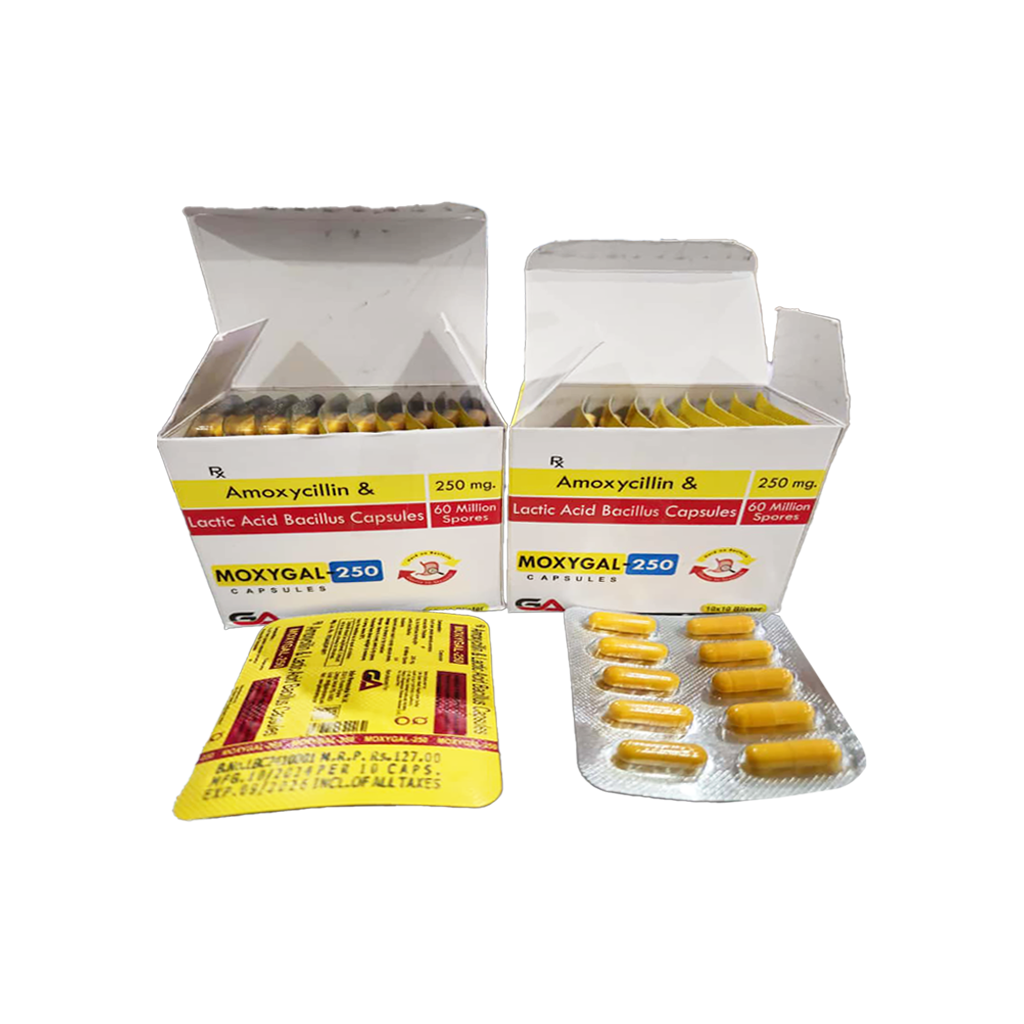 Moxygal 250 | Amoxycillin + Lactic Acid Bacillus | Main Image